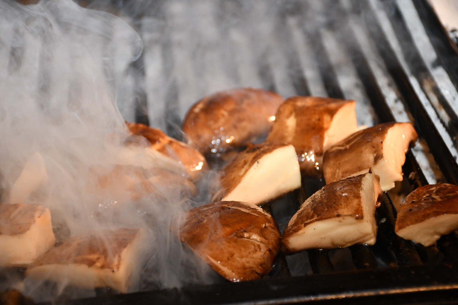 WhatsApp Image 2019-05-24 at 11.41.00 AM (1).jpeg.jpeg